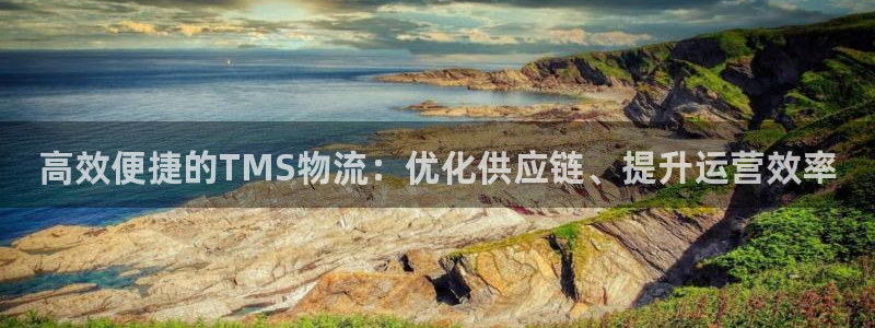 狗子28链接来一个：高效便捷的TMS