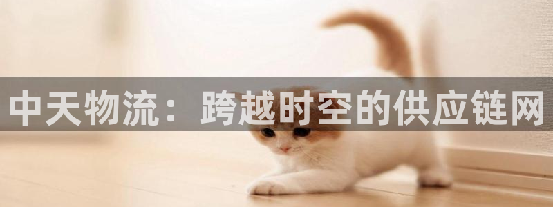 狗子28官网下载链接怎么弄：中天物流