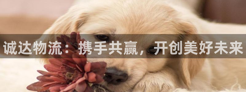 狗子28官网入口pc预测：诚达物流：