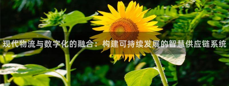 狗子28软件有什么用：现代物流与数字