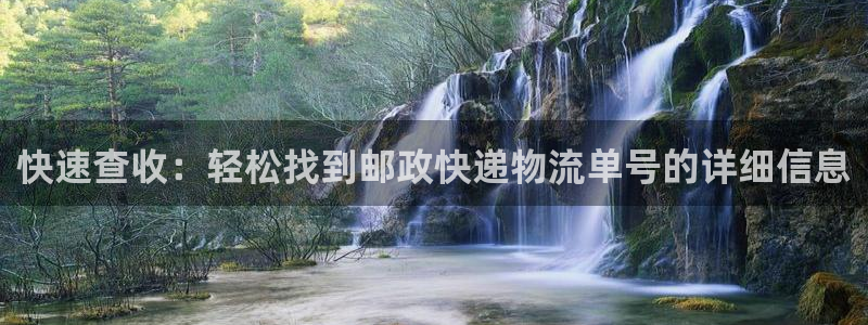 狗子28口：快速查收：轻松找到邮政快