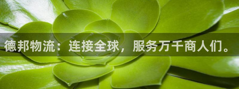 狗子28下载链接是多少：德邦物流：连