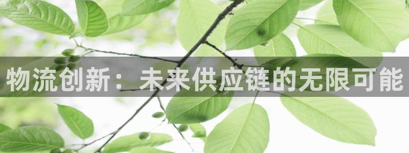狗子28app能退款吗：物流创新：未