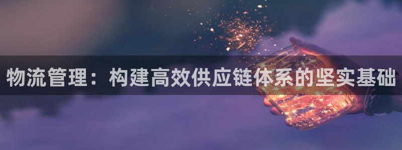狗子28官网下载链接是什么：物流管理