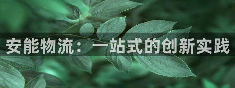 狗子28登录网：安能物流：一站式的创