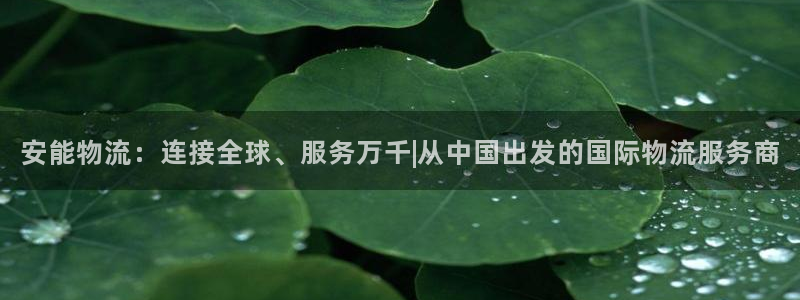 加拿大狗子28是什么：安能物流：连接