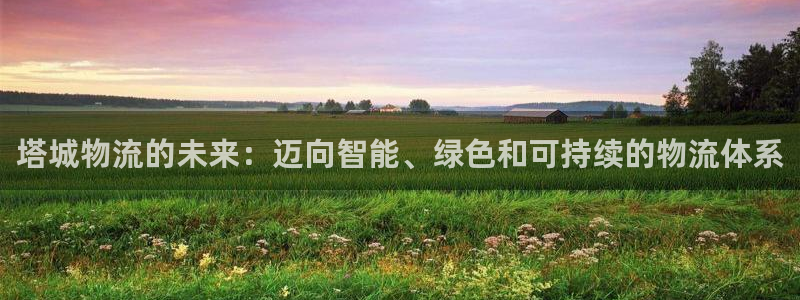 狗子28登录不上咋回事：塔城物流的未来：迈向智能、绿色和可持