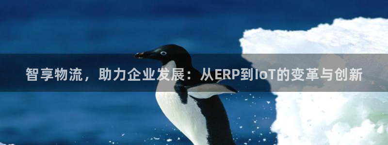 狗子28怎么注册：智享物流，助力企业发展：从ERP到IoT的