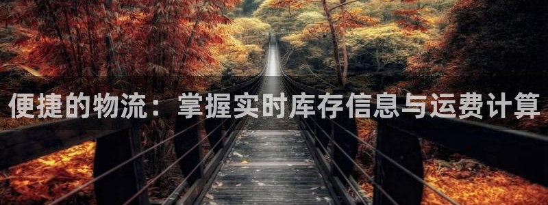 狗子28登录：便捷的物流：掌握实时库