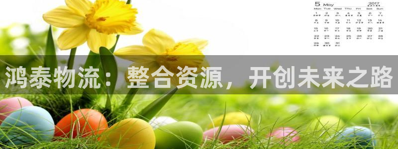 狗子28下载链接是多少：鸿泰物流：整合资源，开创未来之路