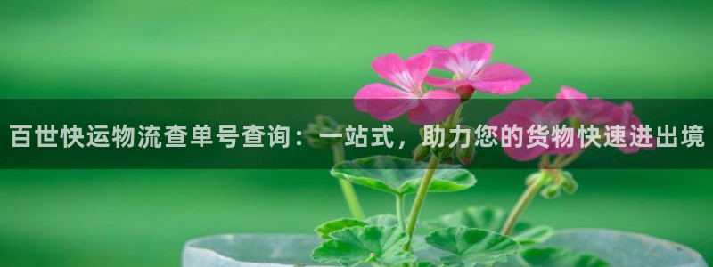 狗子28官网入口o：百世快运物流查单