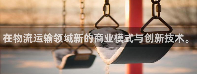 狗子28电子：在物流运输领域新的商业