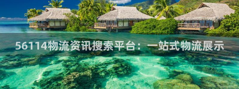 狗子28登录用户名登录不上：5611