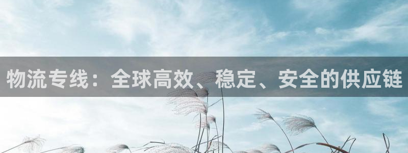 狗子28官网入口pcios：物流专线