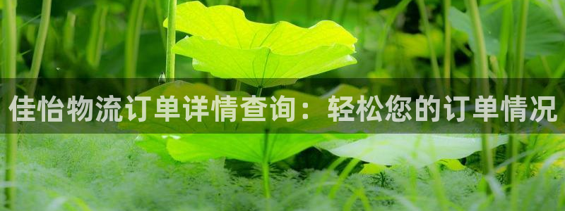 狗子28模拟器在线玩：佳怡物流订单详