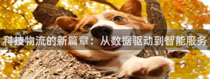 狗子28加拿大预测：科技物流的新篇章