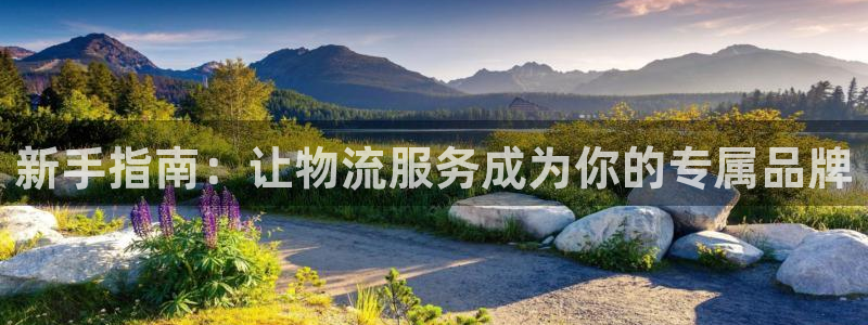 狗子28下载不了：新手指南：让物流服
