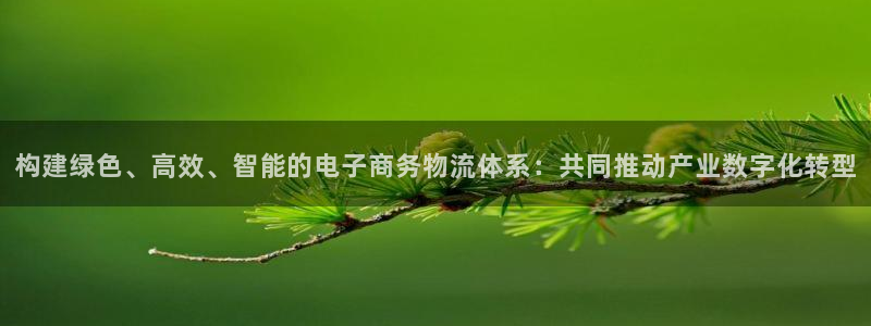 狗子28圈助手：构建绿色、高效、智能的电子商务物流体系：共同