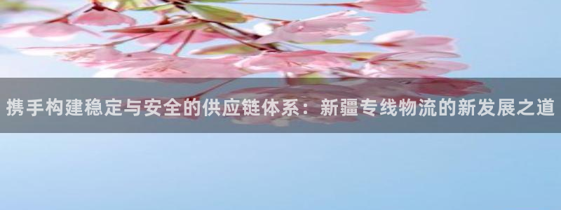 狗子28可以退款吗