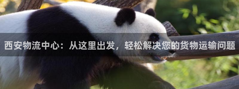 狗子28充值不到账怎么办：西安物流中