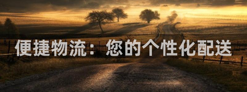 狗子28加拿大模拟器：便捷物流：您的