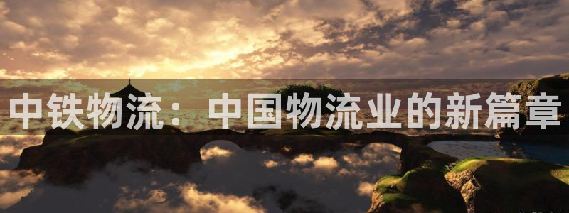 狗子28电子：中铁物流：中国物流业的