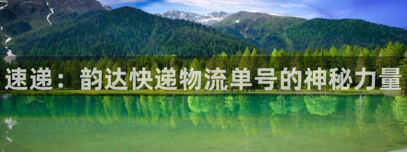 狗子28官网版所有版本：速递：韵达快