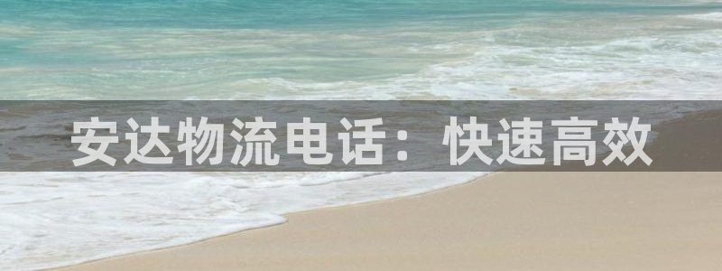 狗子28app赢了500万:安达物流