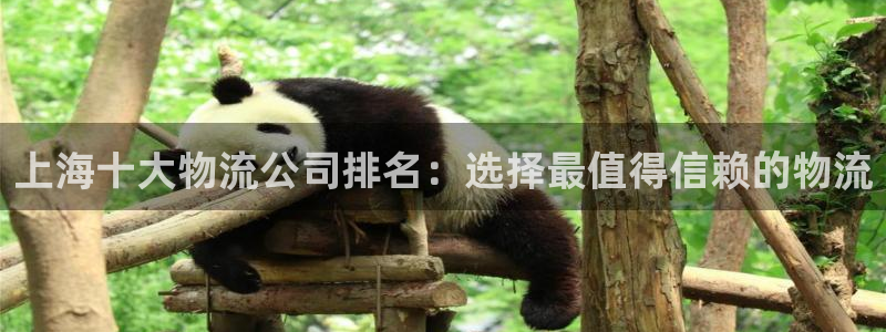 狗子28加拿大app预测：上海十大物流公司排名：选择最值得信
