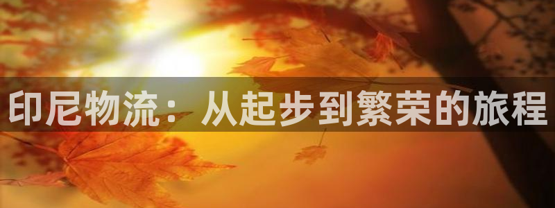 狗子28链官网：印尼物流：从起步到繁