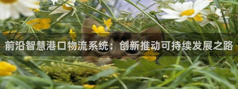 狗子28最稳打法：前沿智慧港口物流系