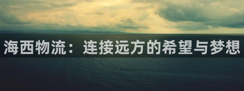 狗子28加拿大在线预测：海西物流：连
