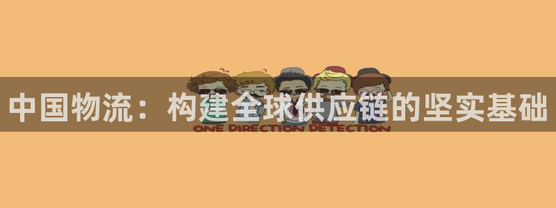 狗子28pg如何退钱：中国物流：构建